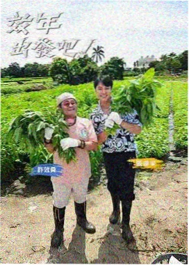 我们的留言板 韩国综艺在线看